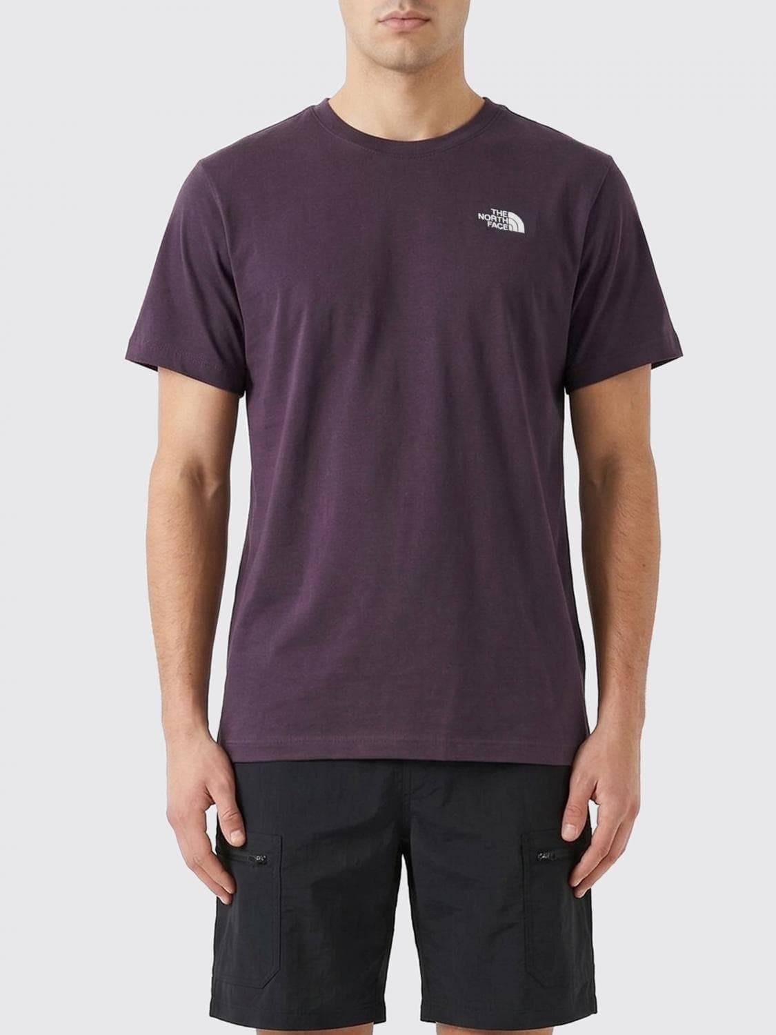 The North Face T-Shirt Men color Grey