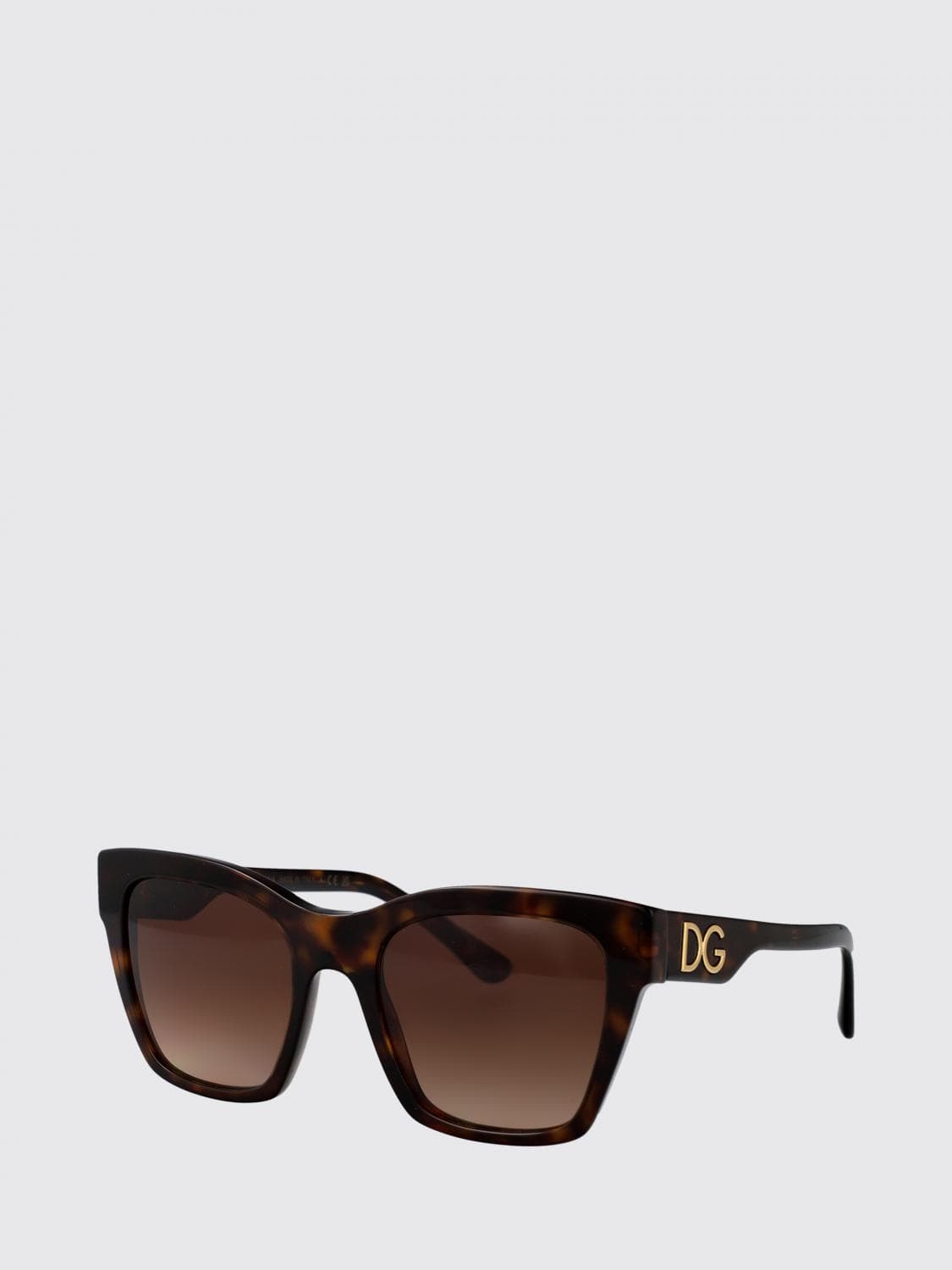 Dolce & Gabbana Sunglasses Woman color Earth