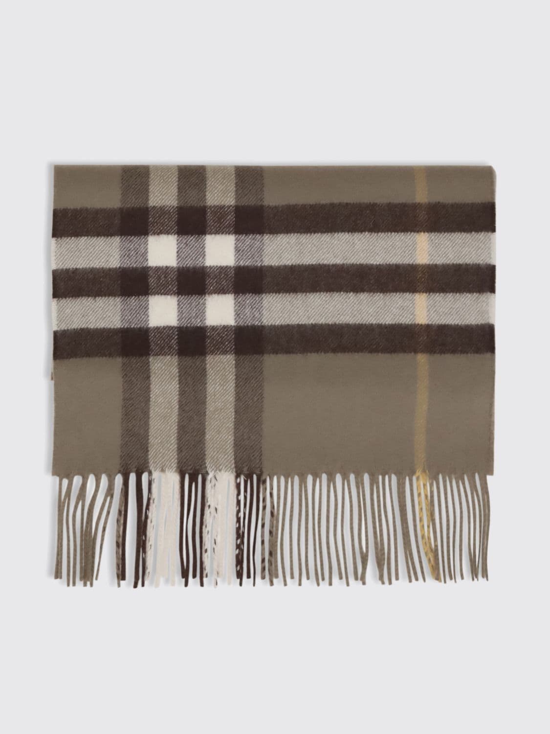 Burberry Scarf Woman color Brown