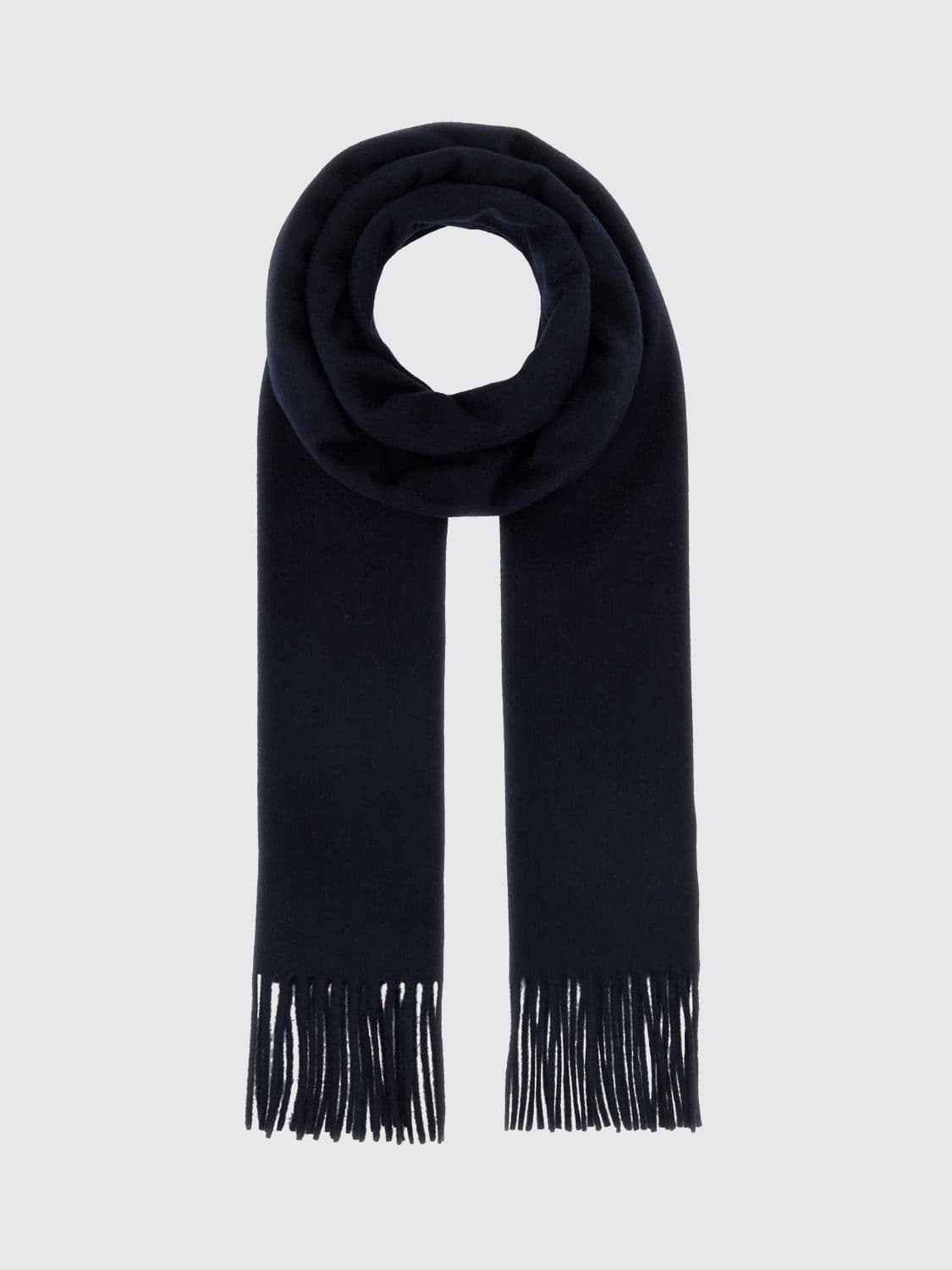 Max Mara Scarf Woman color Blue · OS