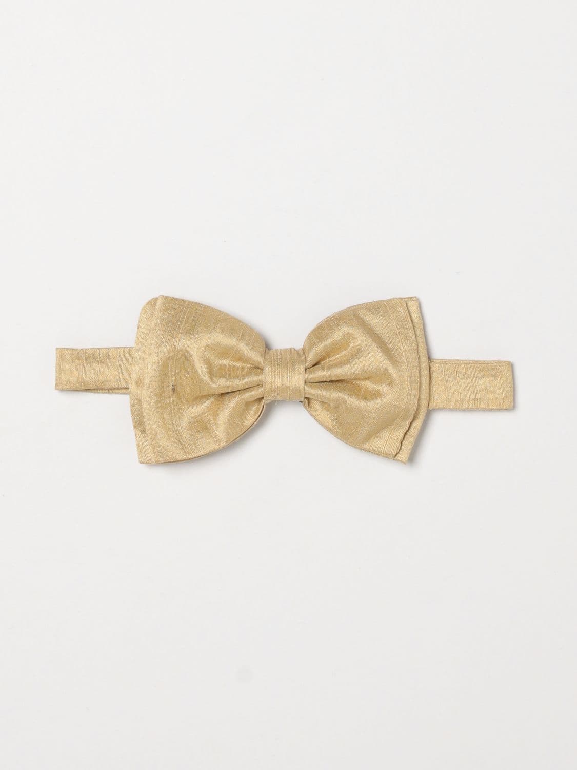 Lardini Tie Men color Beige