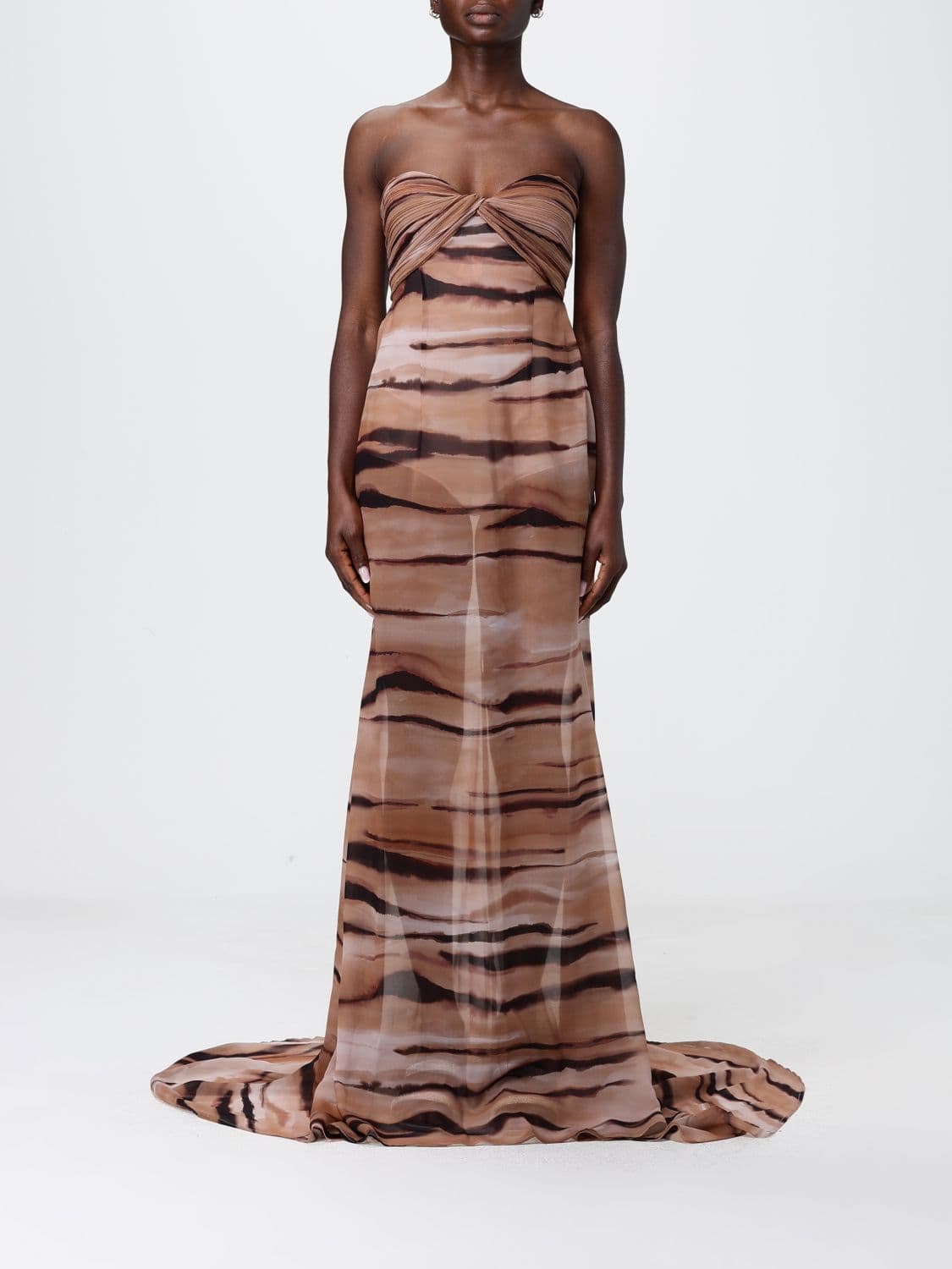 Elisabetta Franchi Animal Print Chiffon Long Dress