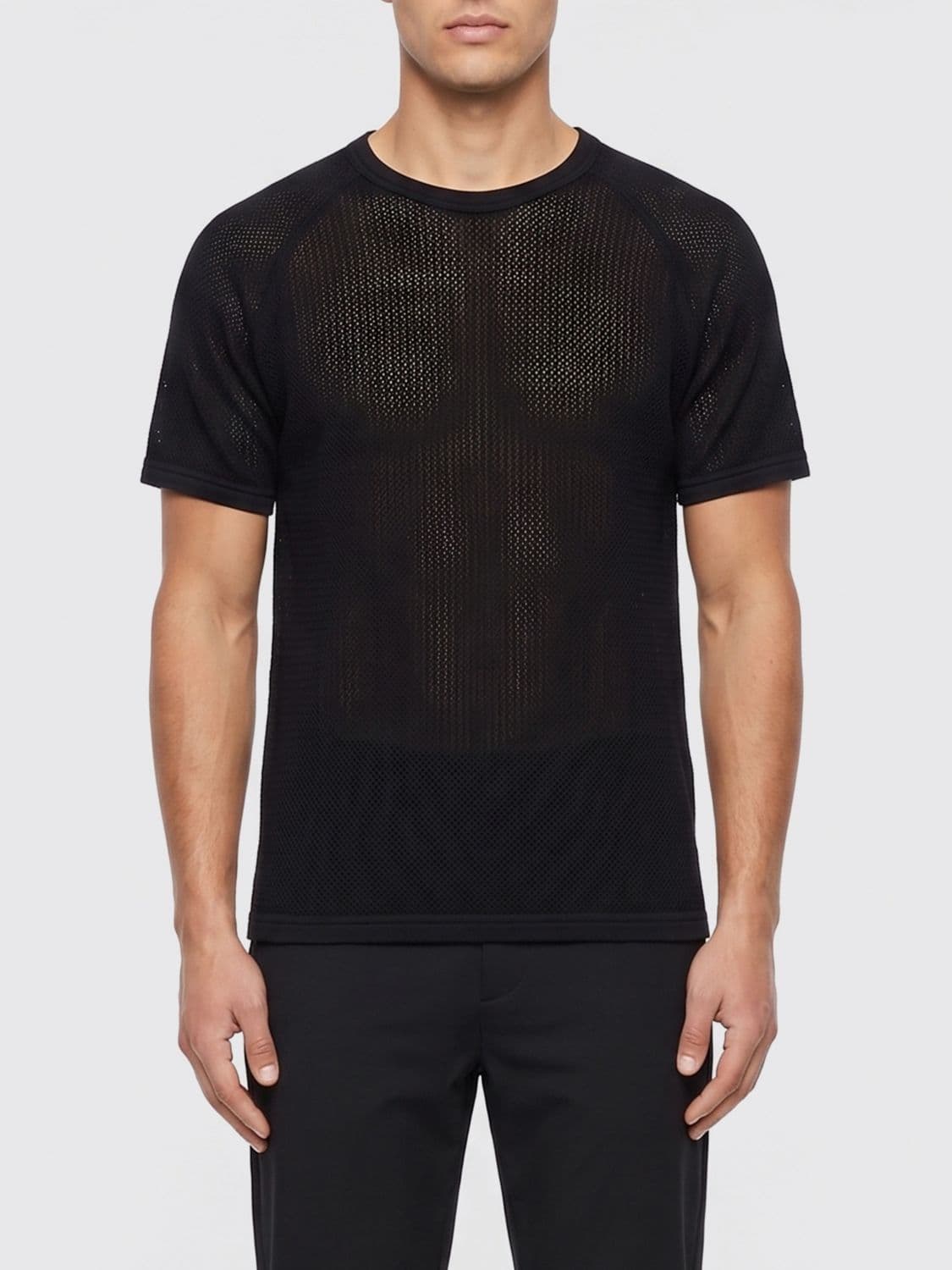 Sunflower Cotton T-Shirt
