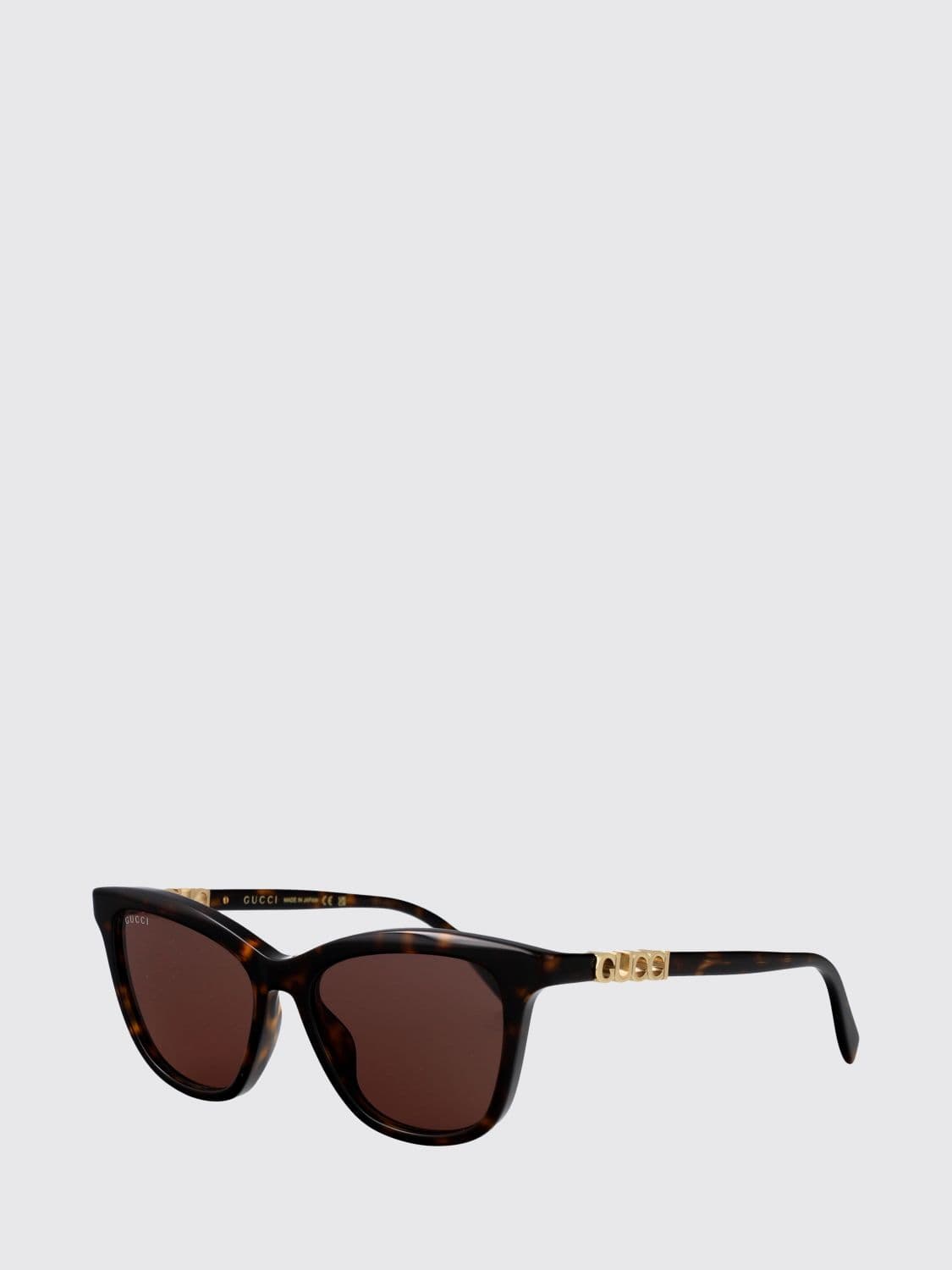 Gucci Acetate Sunglasses