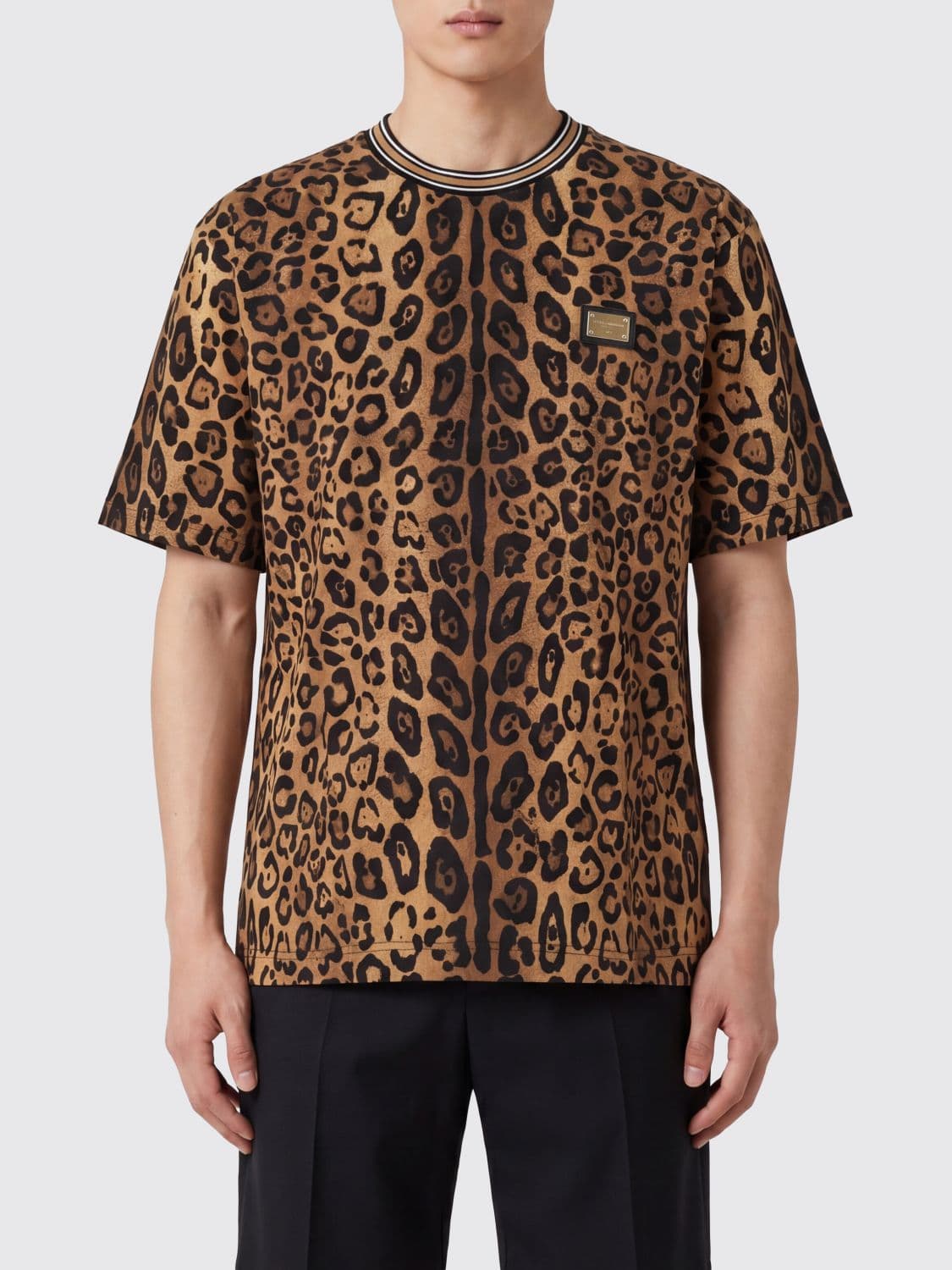 Dolce & Gabbana Animalier Print Cotton T-Shirt with Contrast Trims