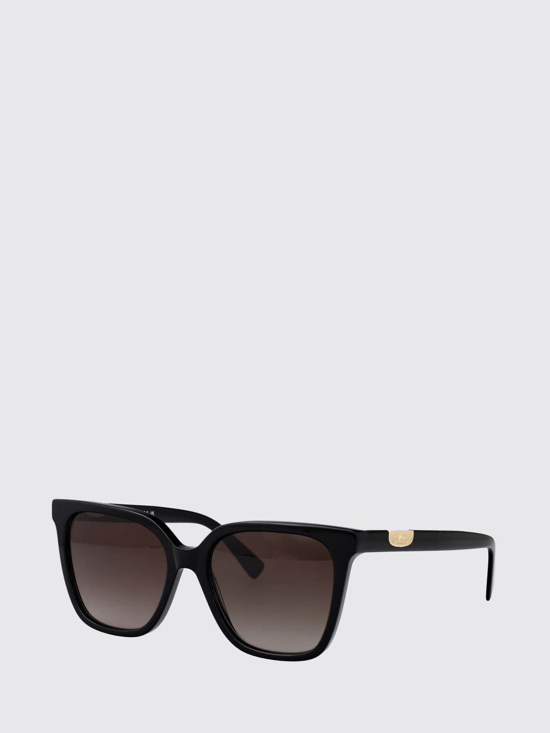 Longchamp Butterfly Cat-Eye Acetate Sunglasses with Metal Logo