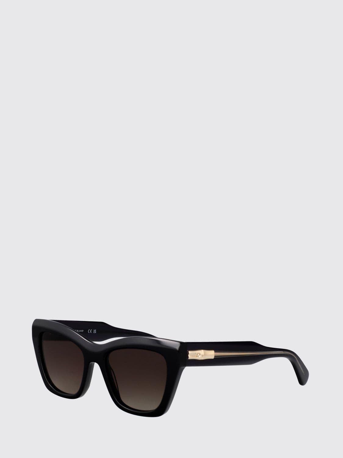 Longchamp Rectangular Cat-Eye Sunglasses in Acetate