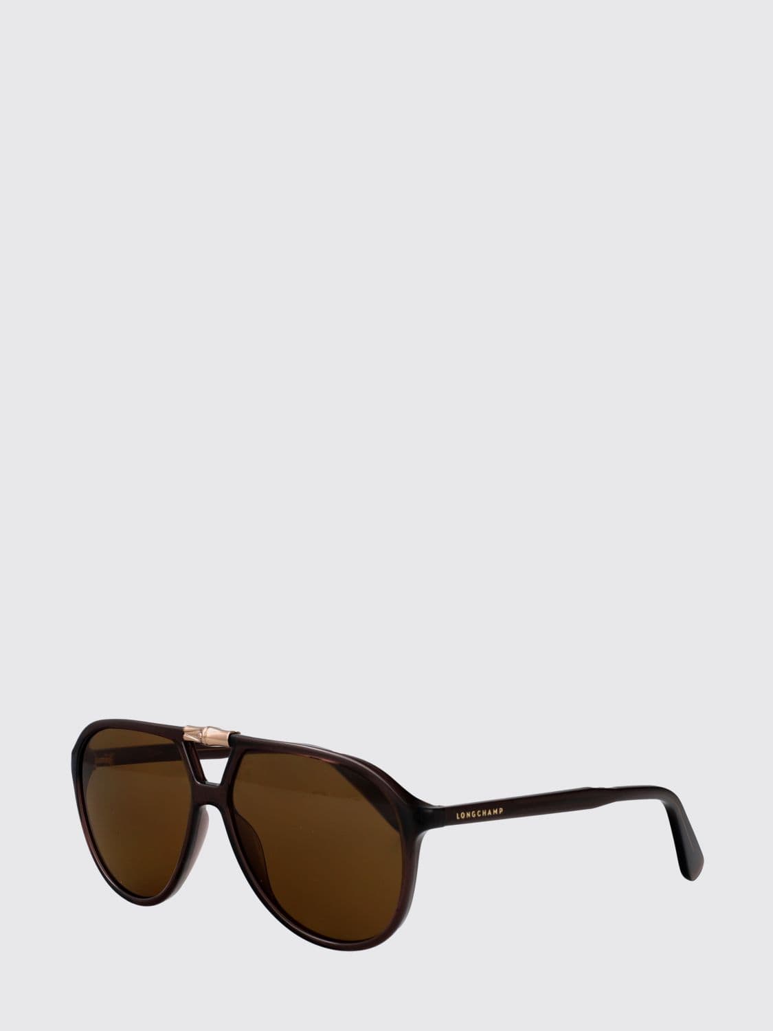 Longchamp Aviator Sunglasses in Acetate with Double Bridge