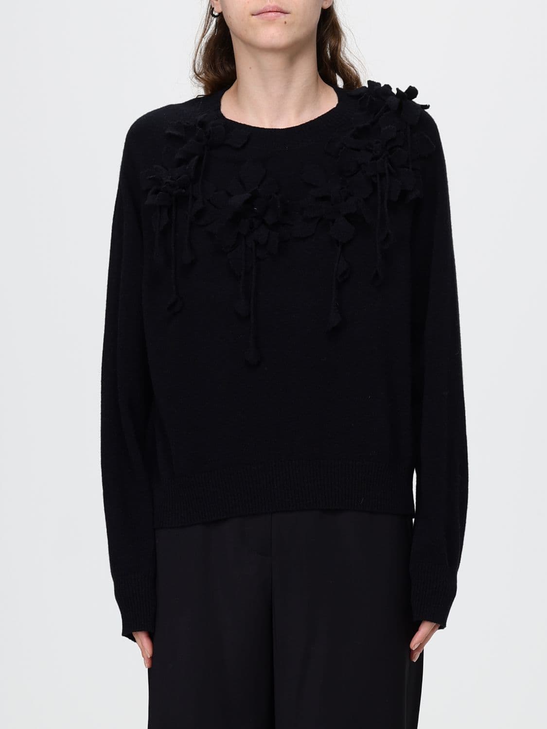 Alberta Ferretti Floral Embroidered Virgin Wool Long-Sleeved Crewneck Jumper