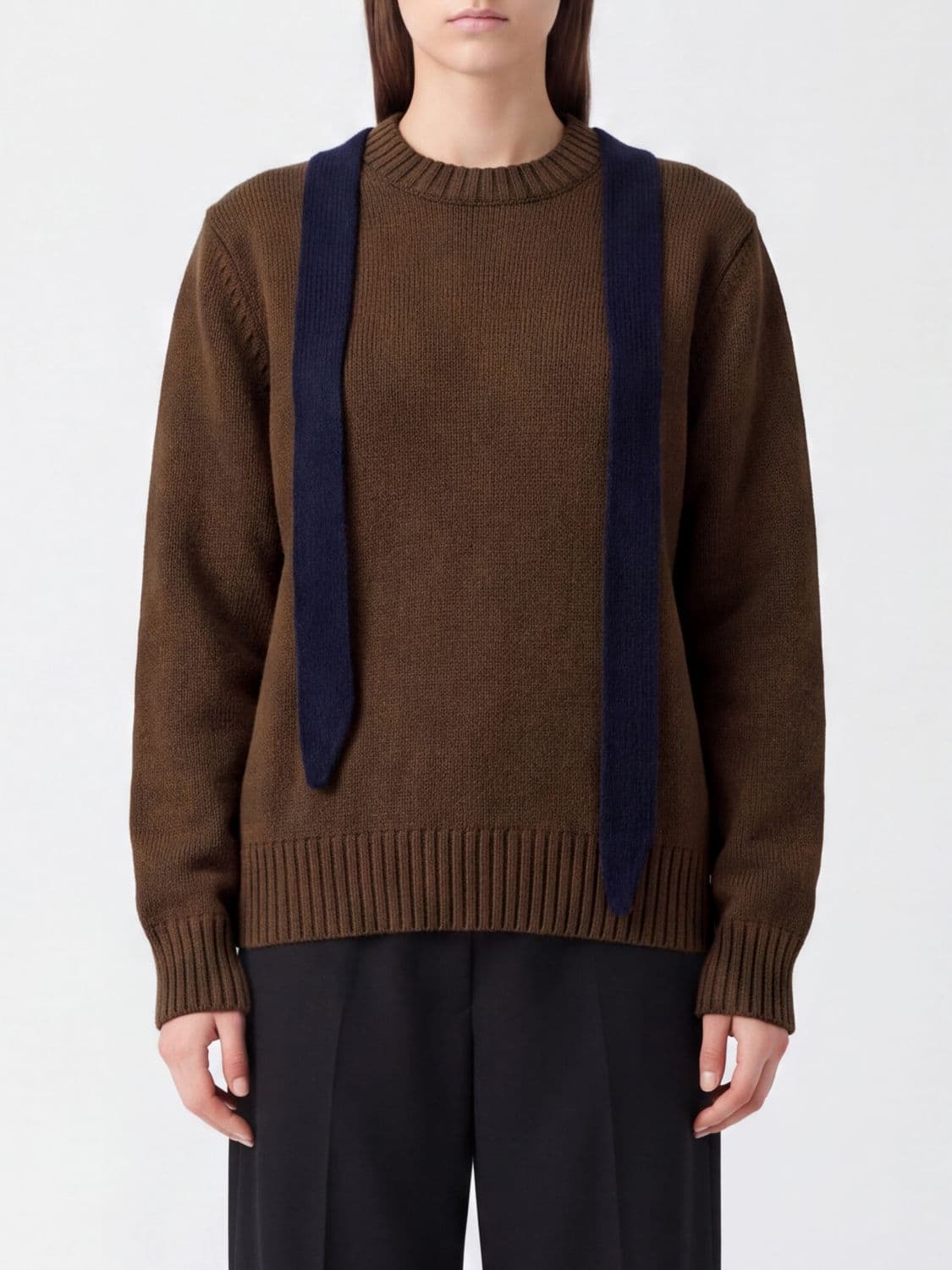 Sacai Wool Crewneck Jumper with Contrast Panel and Embroidery