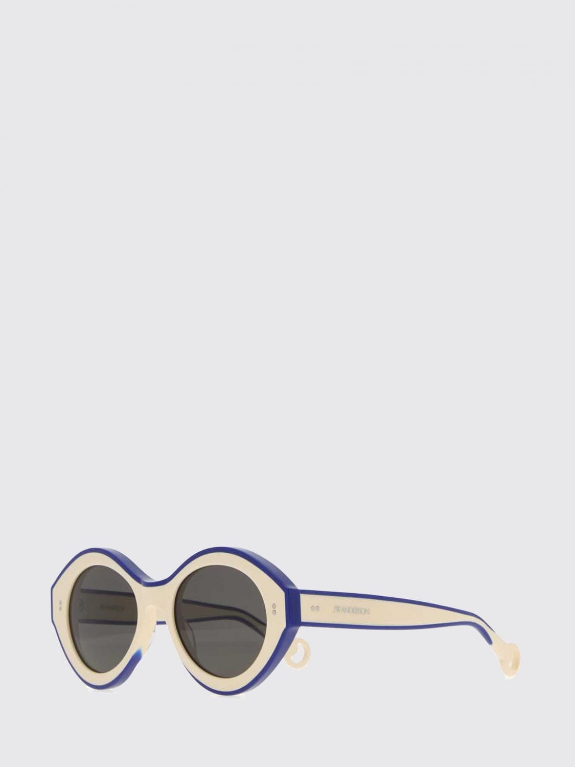 Jw Anderson Bumper Bicolor Cat-Eye Acetate Sunglasses
