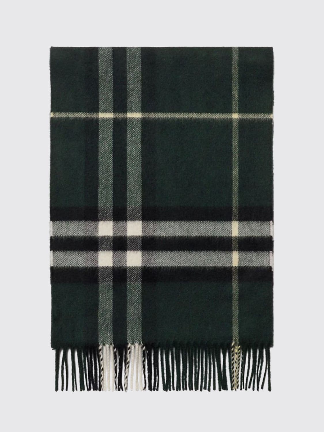 Burberry Scarf Woman color Green
