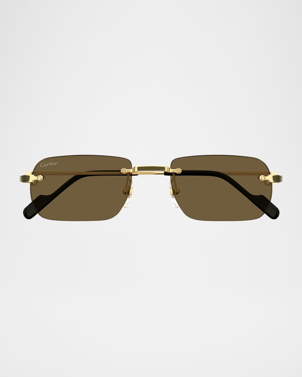 Cartier Men's CT0497SM Metal Rectangle Sunglasses