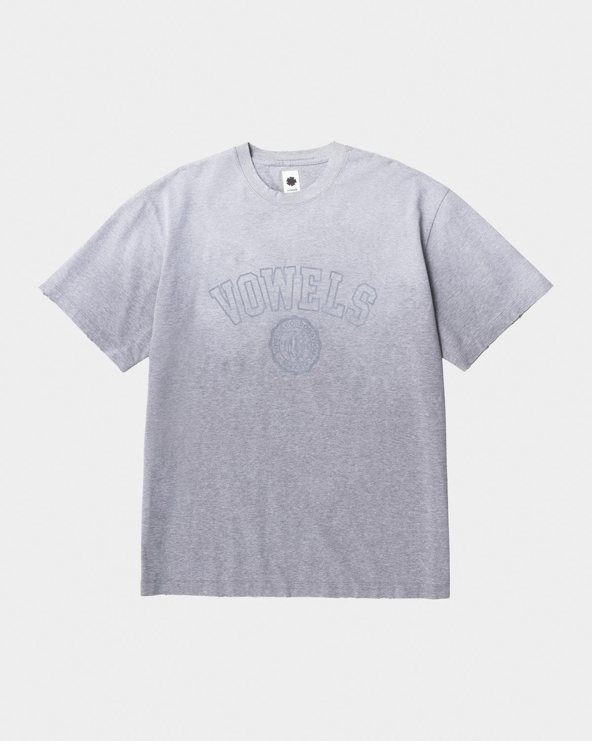 vowels Men's Faded Collegiate Tee