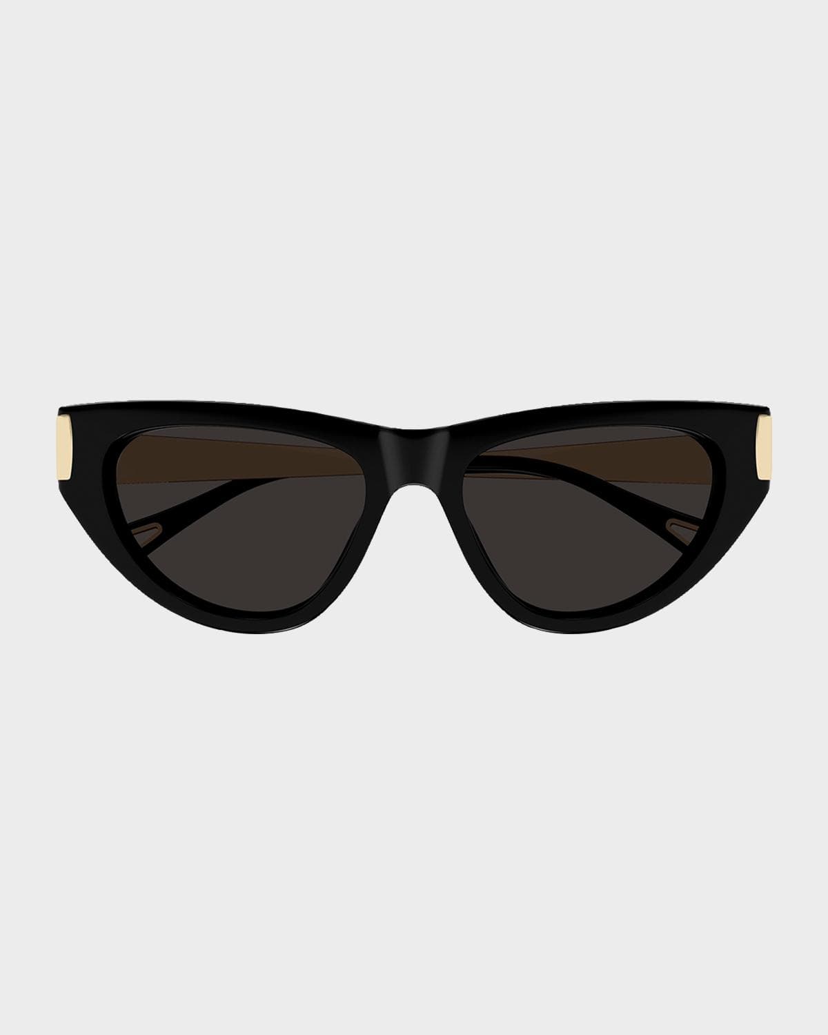 Chloe Holly 54mm Acetate & Metal Cat-Eye Sunglasses