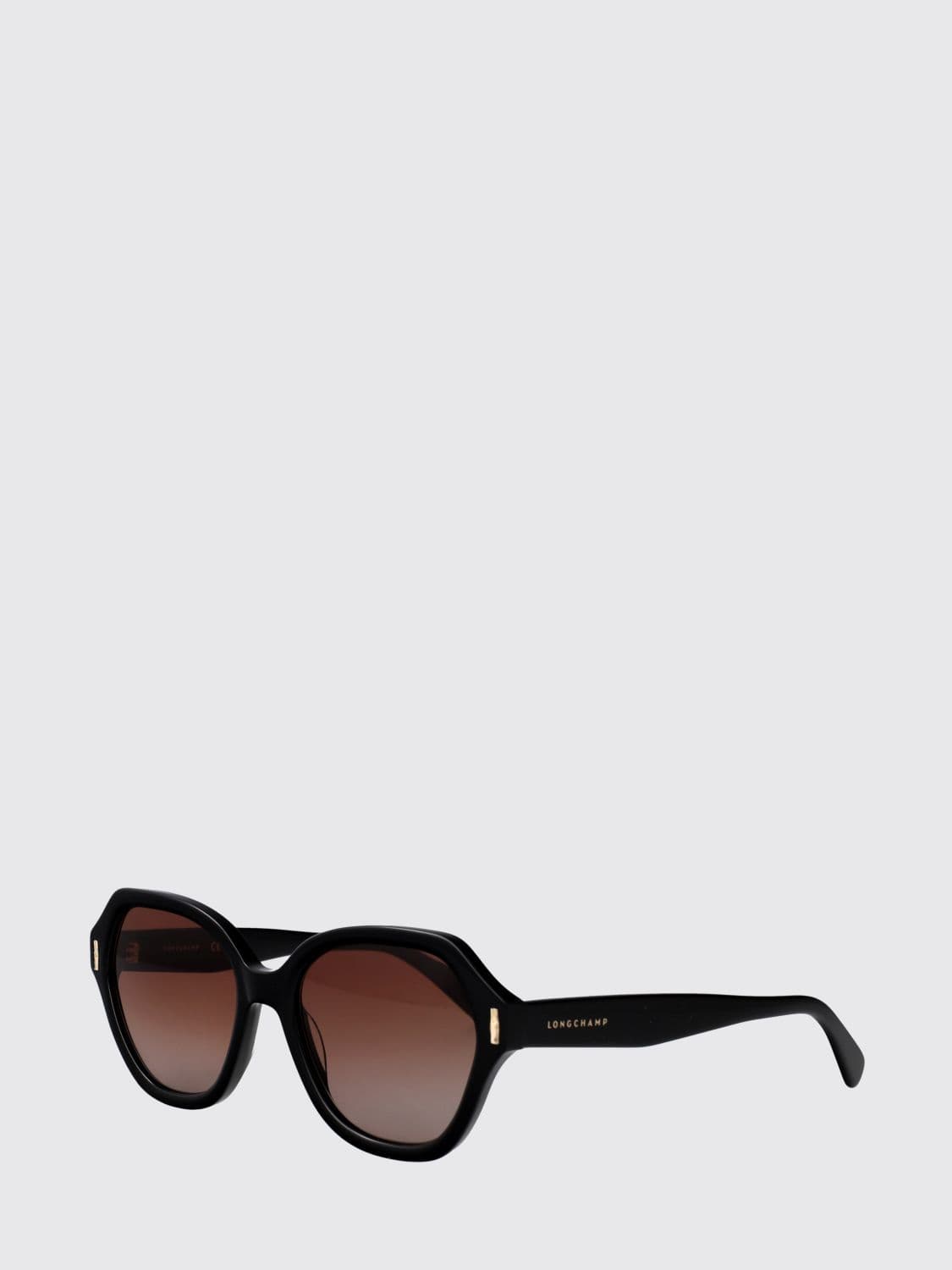 Longchamp Rounded Cat-Eye Sunglasses in Acetate with Gradient Lenses