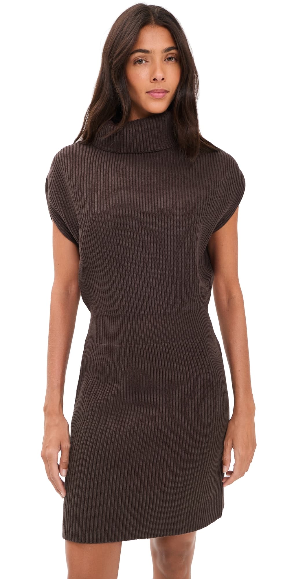 Splendid Marigold Mini Sweater Dress Java